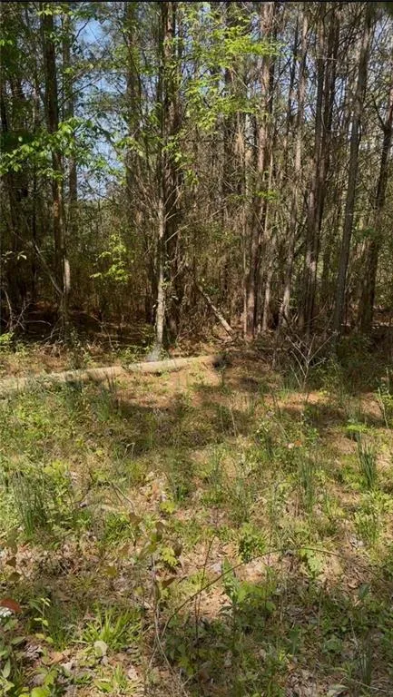 2557 Washington Highway Elberton, GA 30635