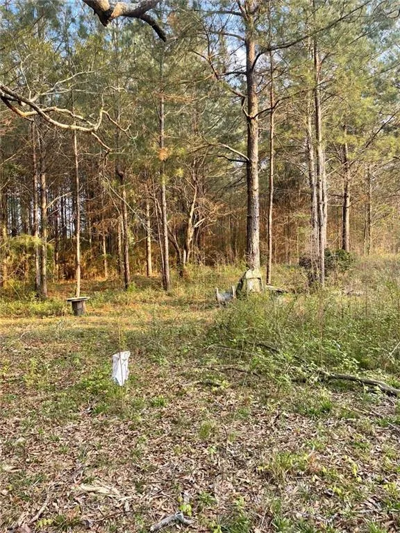 2557 Washington Highway Elberton, GA 30635