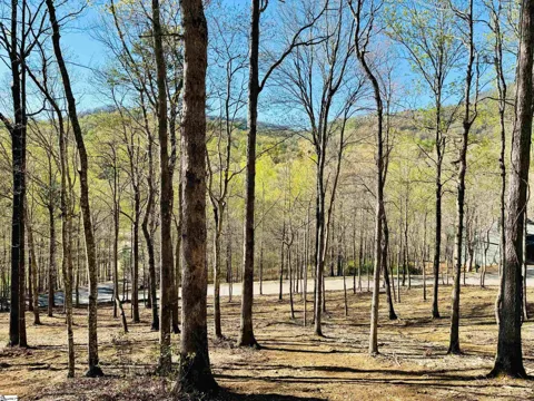 2 Buck Creek Trail