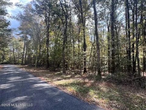 0 Pelahatchie Road