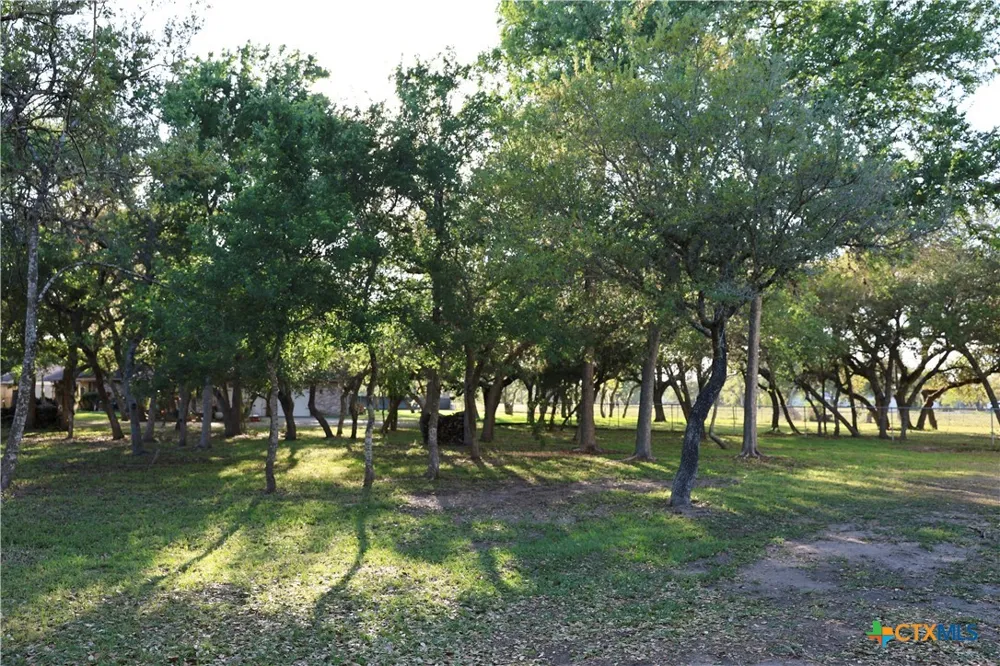 264 Live Oak Drive Inez, TX 77968