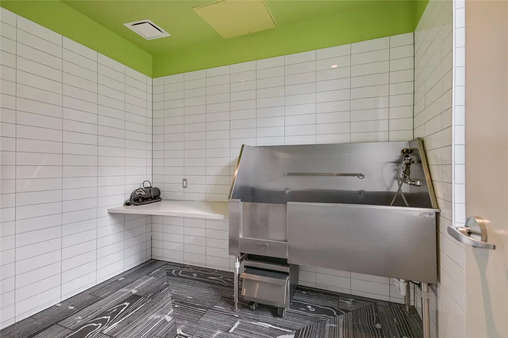 222 West Avenue #1613 Austin, TX 78701