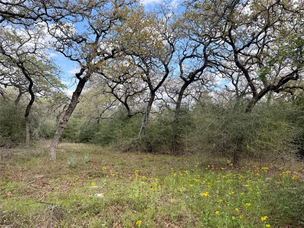 3950 Private Road 2015 Caldwell, TX 77836