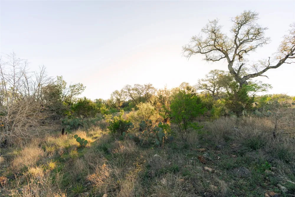 1901 Oak Grove Road San Marcos, TX 78666