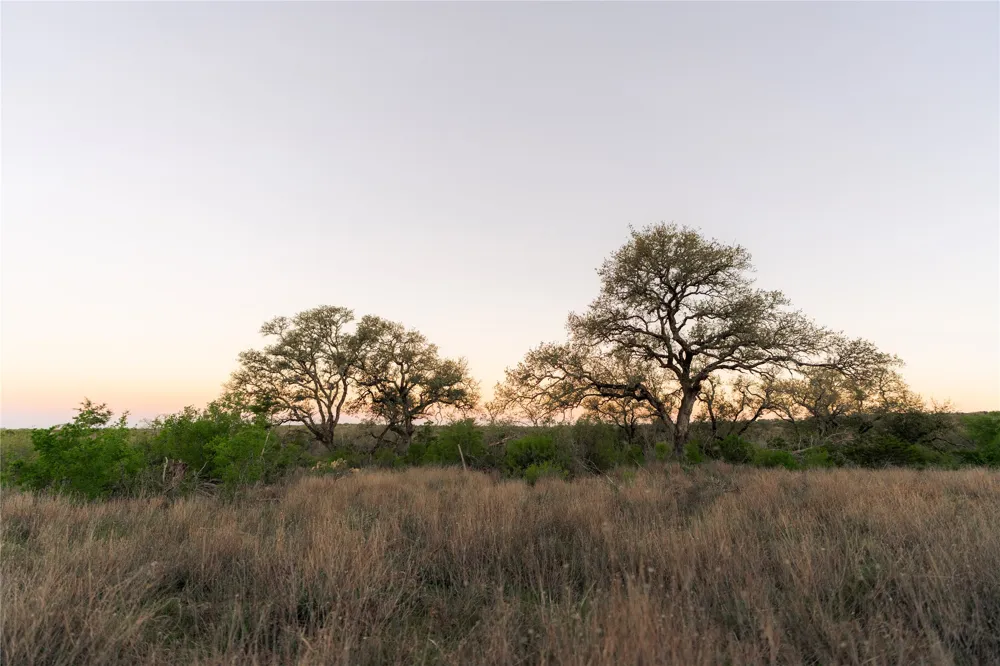 1901 Oak Grove Road San Marcos, TX 78666