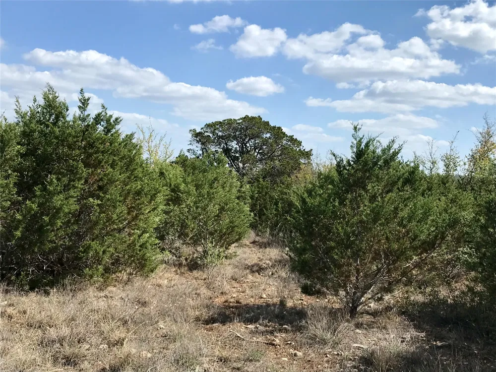970 32 San Marcos, TX 78666