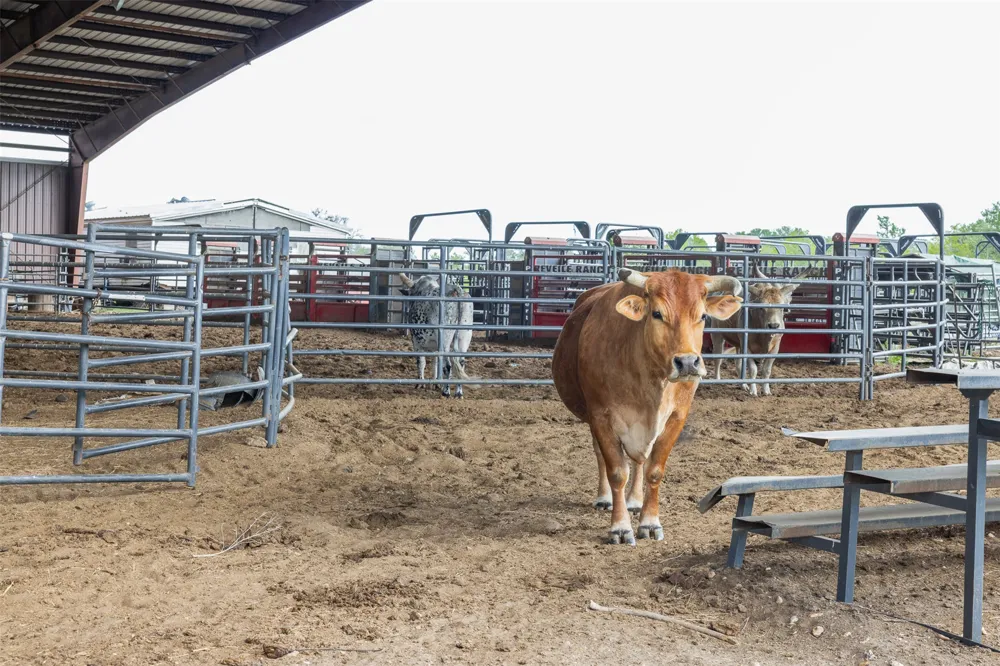 8519 State Park Road Lockhart, TX 78644