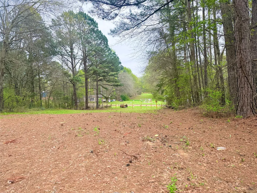 10933 County Road 384 Tyler, TX 75708