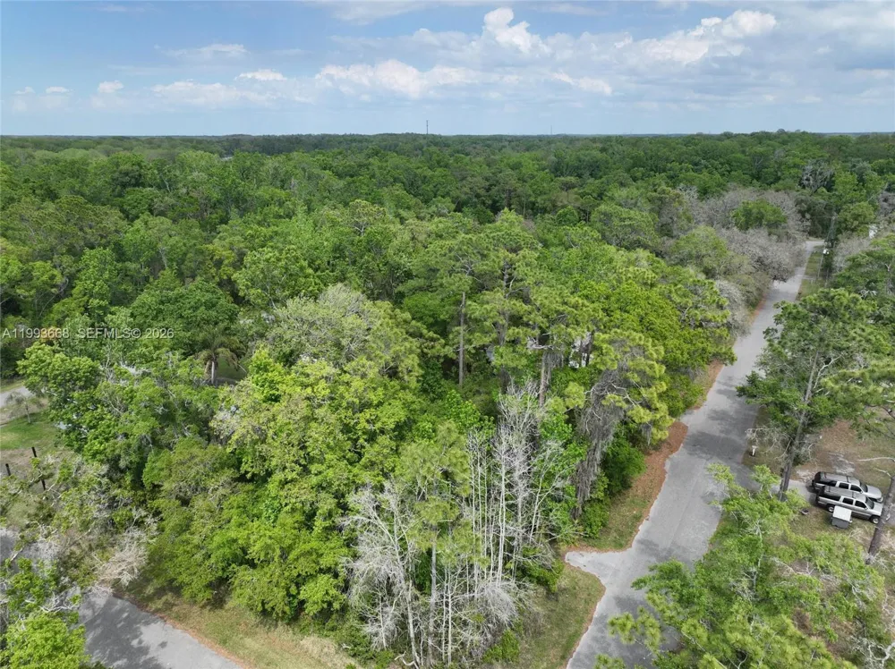 Eagle Lake Ave New Port Richey, FL 34654
