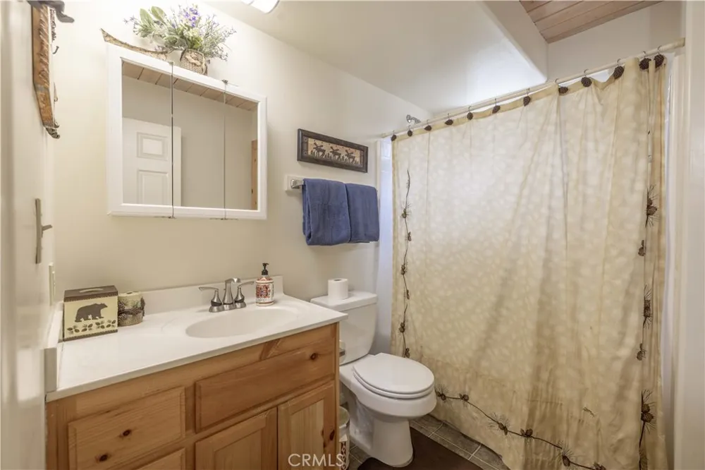 143 Santa Barbara Sugarloaf, CA 92386