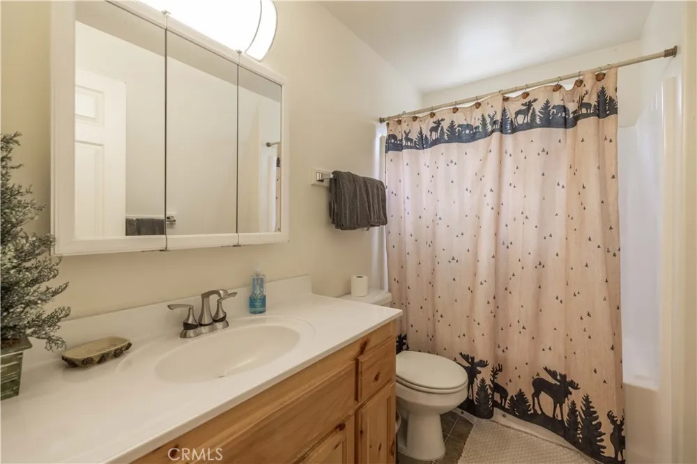 143 Santa Barbara Sugarloaf, CA 92386