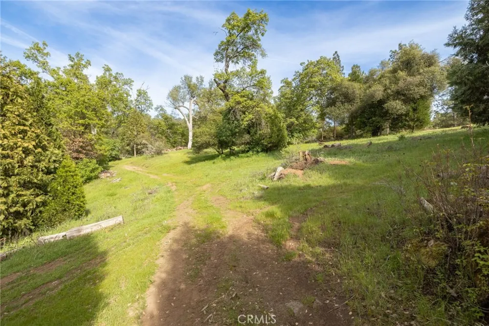 36919 Deer Path Circle Coarsegold, CA 93614