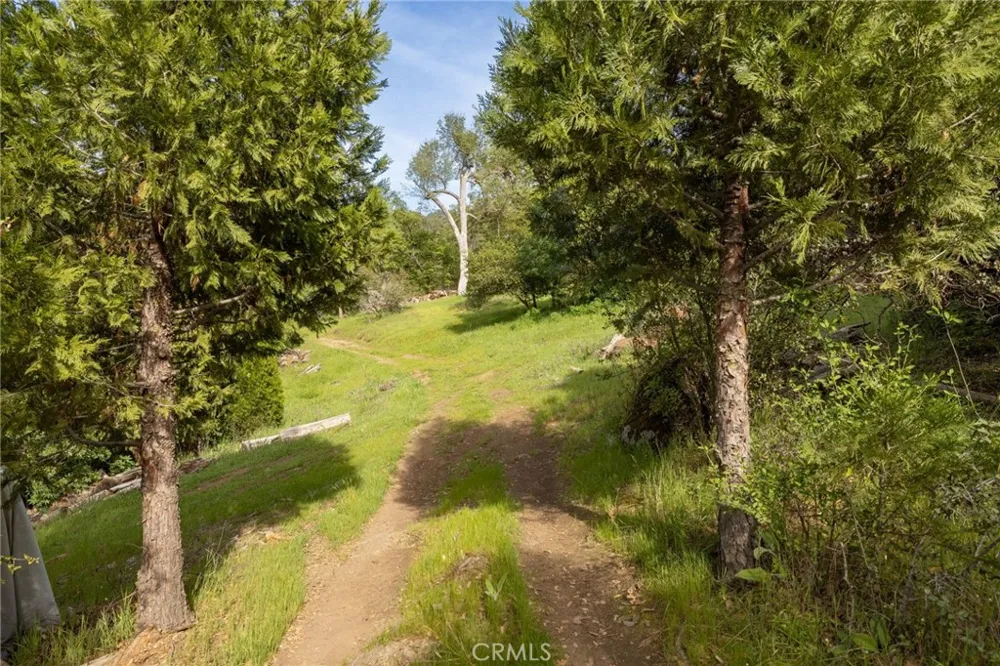 36919 Deer Path Circle Coarsegold, CA 93614