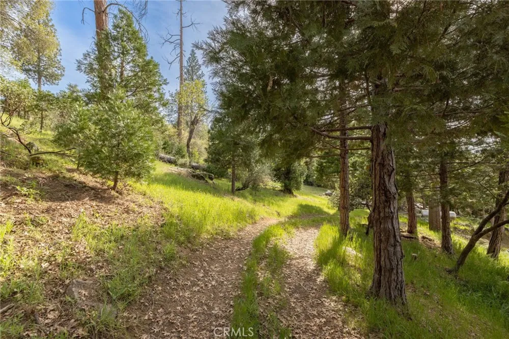 36919 Deer Path Circle Coarsegold, CA 93614