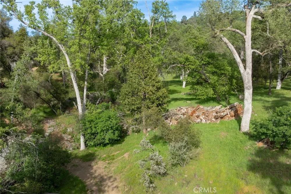 36919 Deer Path Circle Coarsegold, CA 93614