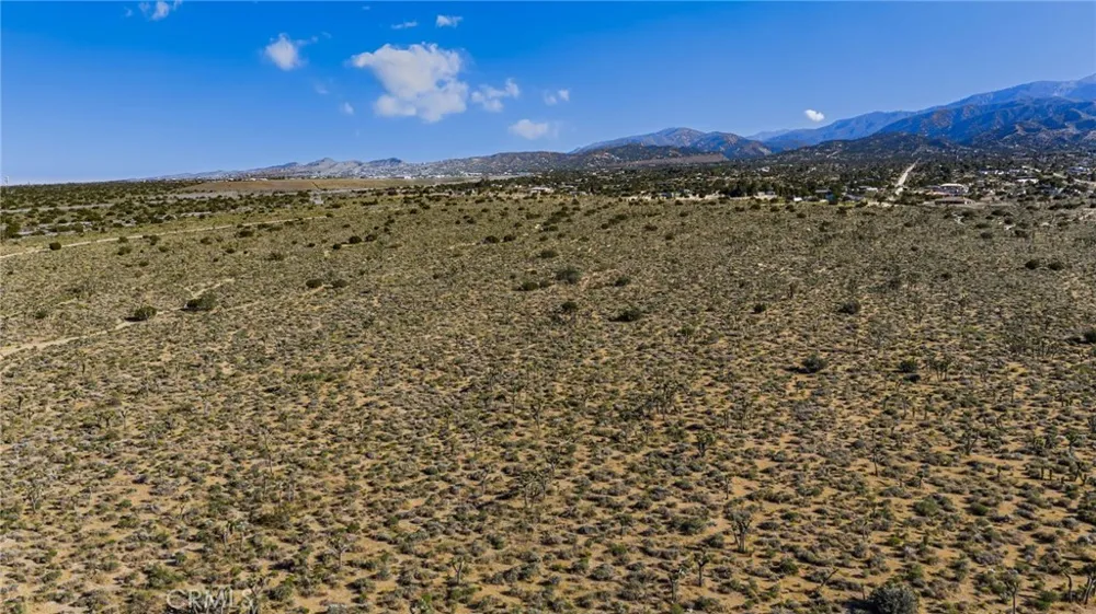 Evergreen Pinon Hills, CA 92372