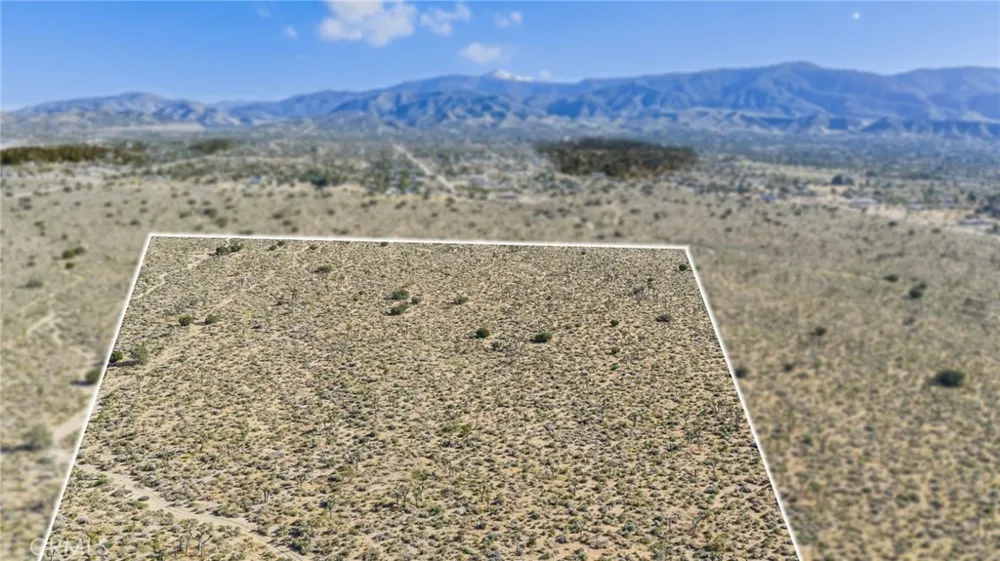 Evergreen Pinon Hills, CA 92372