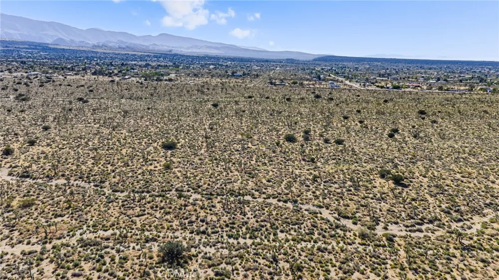Evergreen Pinon Hills, CA 92372