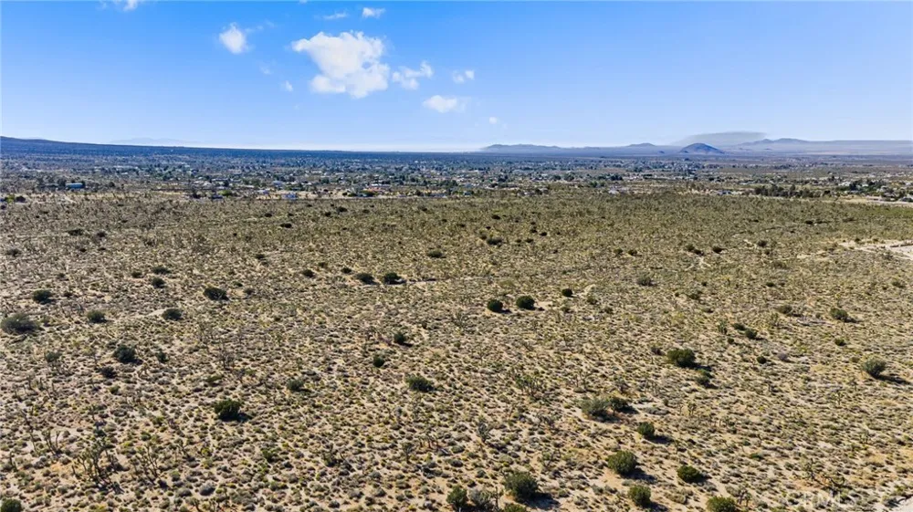 Evergreen Pinon Hills, CA 92372