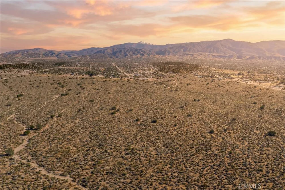 Evergreen Pinon Hills, CA 92372