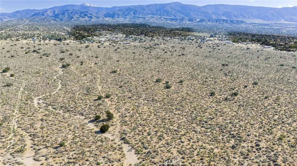 Evergreen Pinon Hills, CA 92372