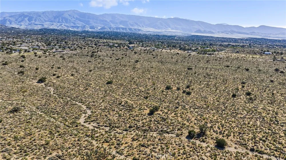 Evergreen Pinon Hills, CA 92372