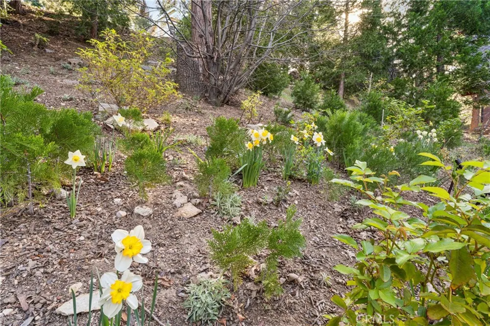 197 Massive Road Lake Arrowhead, CA 92317