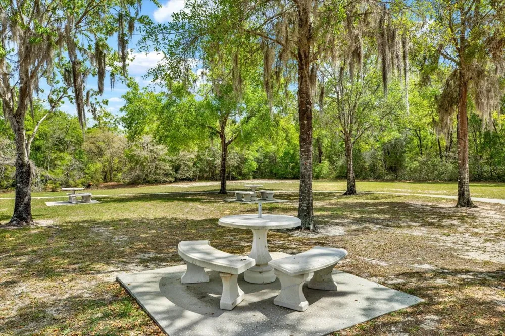 1155 E BLUEBIRD COURT Hernando, FL 34442