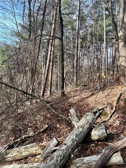 0 Log Swamp Drive