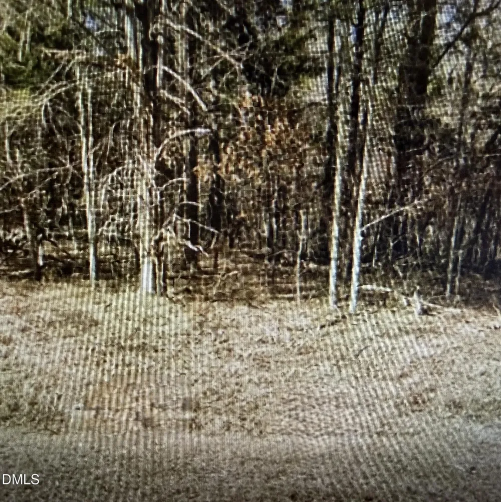 Lot 11 Lynn Smith Road Semora, NC 27343