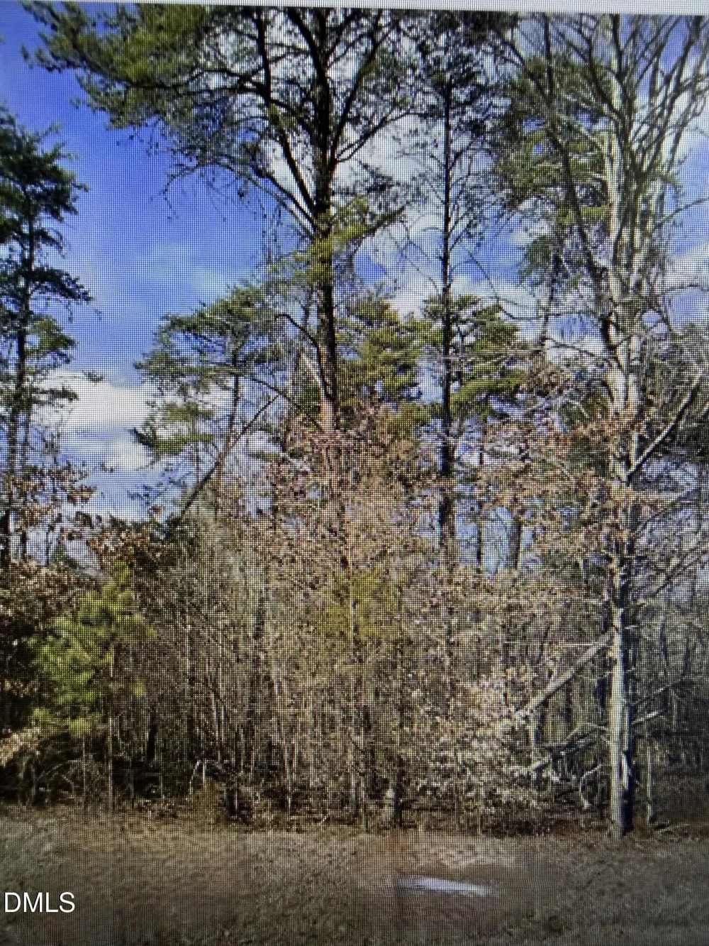 Lot 11 Lynn Smith Road Semora, NC 27343