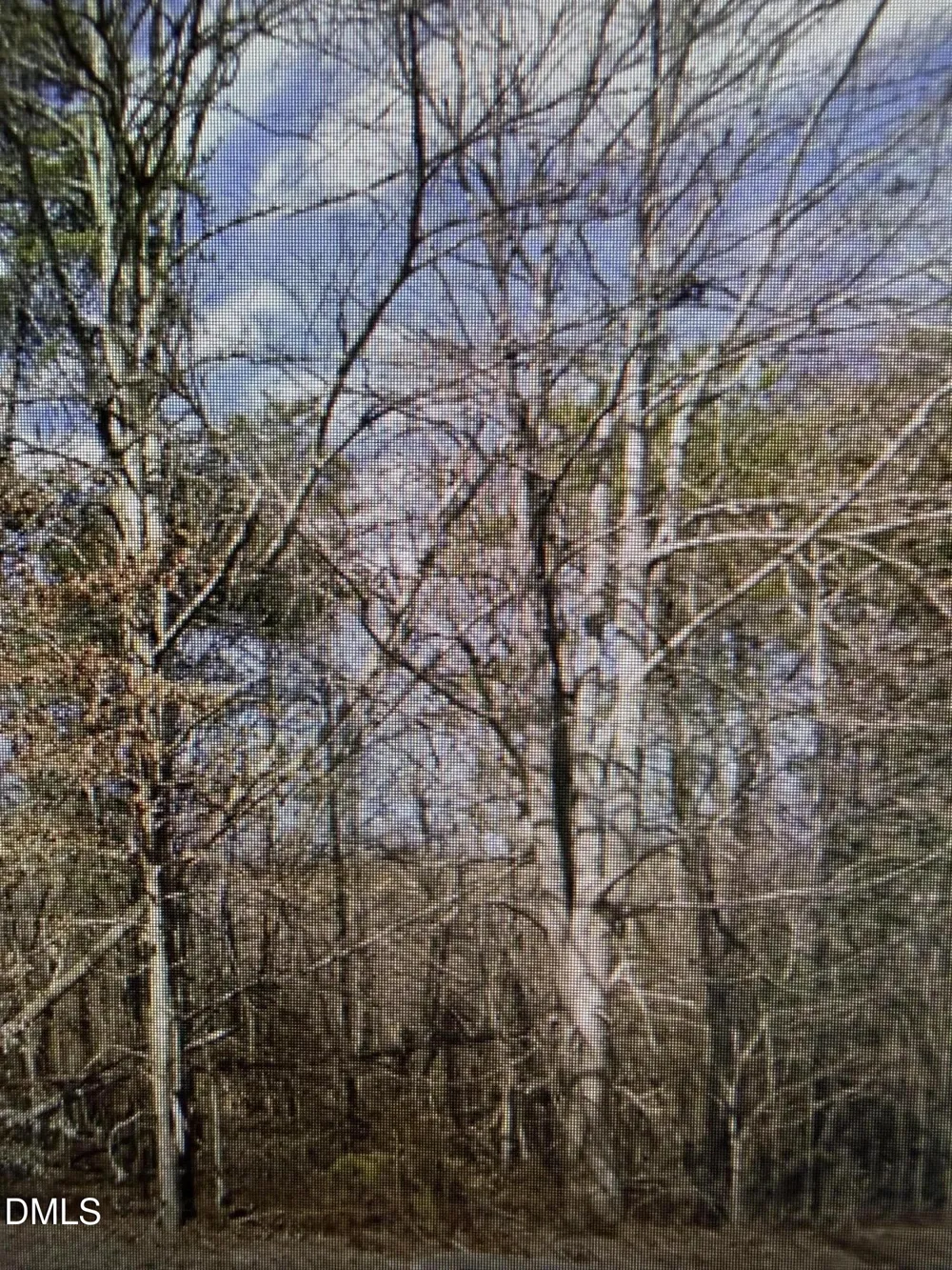 Lot 11 Lynn Smith Road Semora, NC 27343