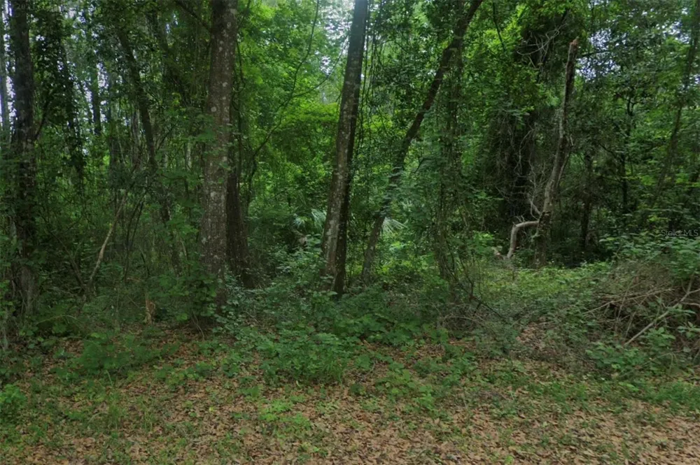 102 RIDGELINE AVENUE Satsuma, FL 32189