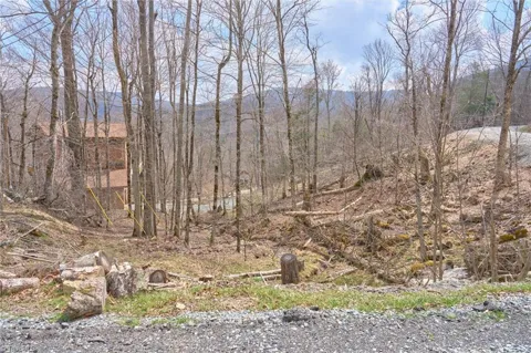 101 Foxgrape Hollow Road