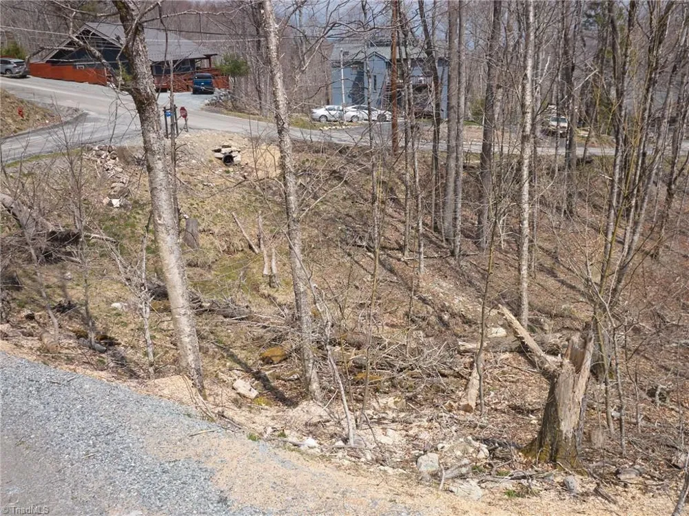 101 Foxgrape Hollow Road Beech Mountain, NC 28604
