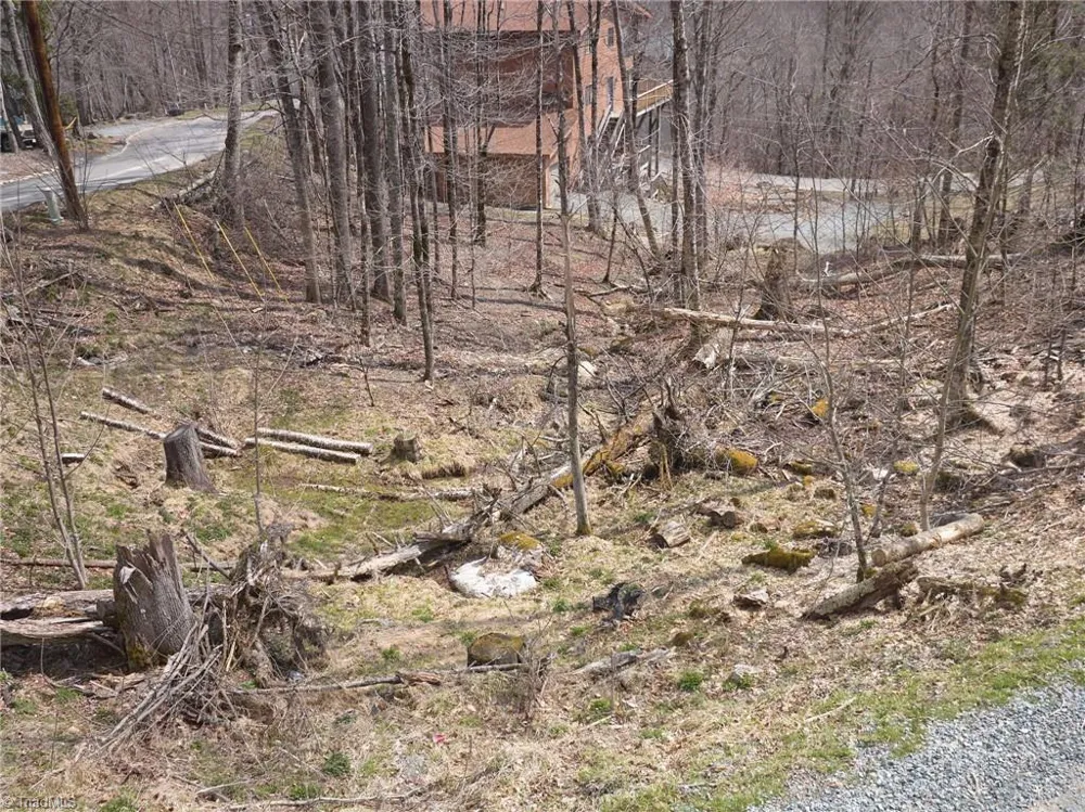 101 Foxgrape Hollow Road Beech Mountain, NC 28604