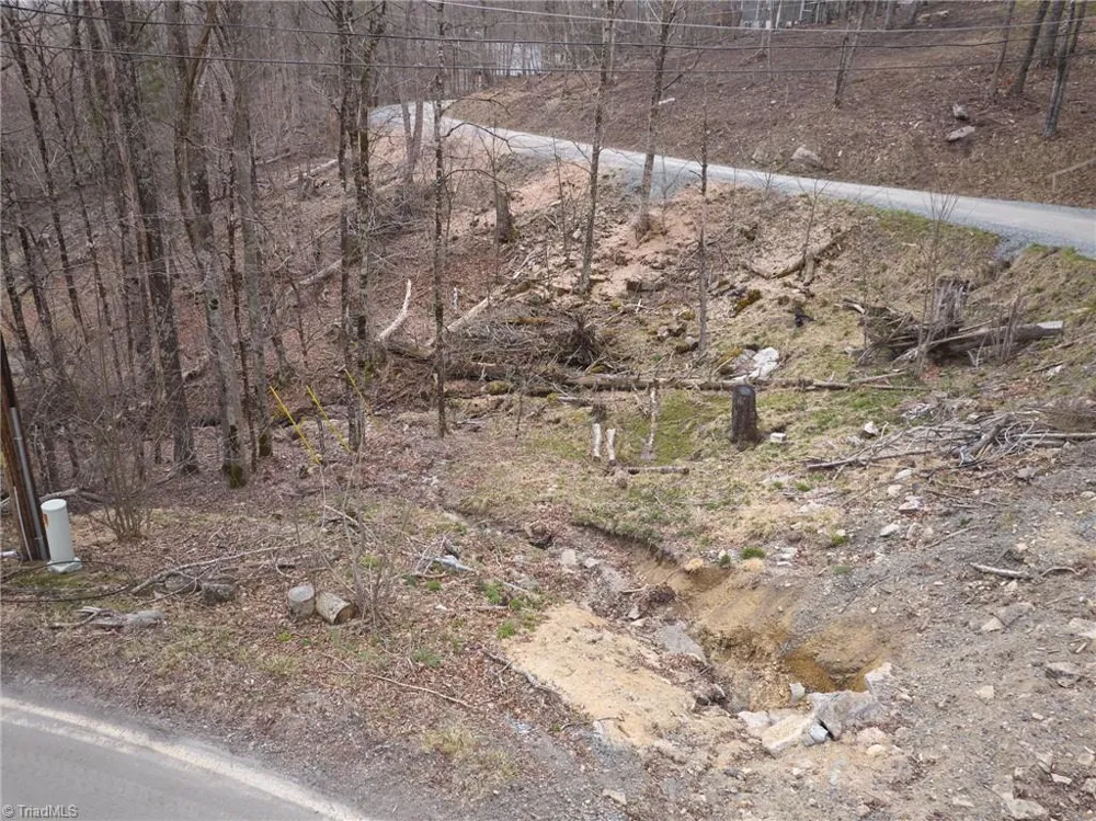 101 Foxgrape Hollow Road Beech Mountain, NC 28604