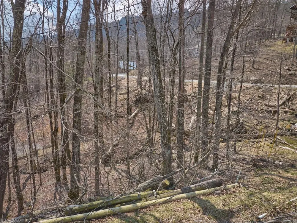 101 Foxgrape Hollow Road Beech Mountain, NC 28604