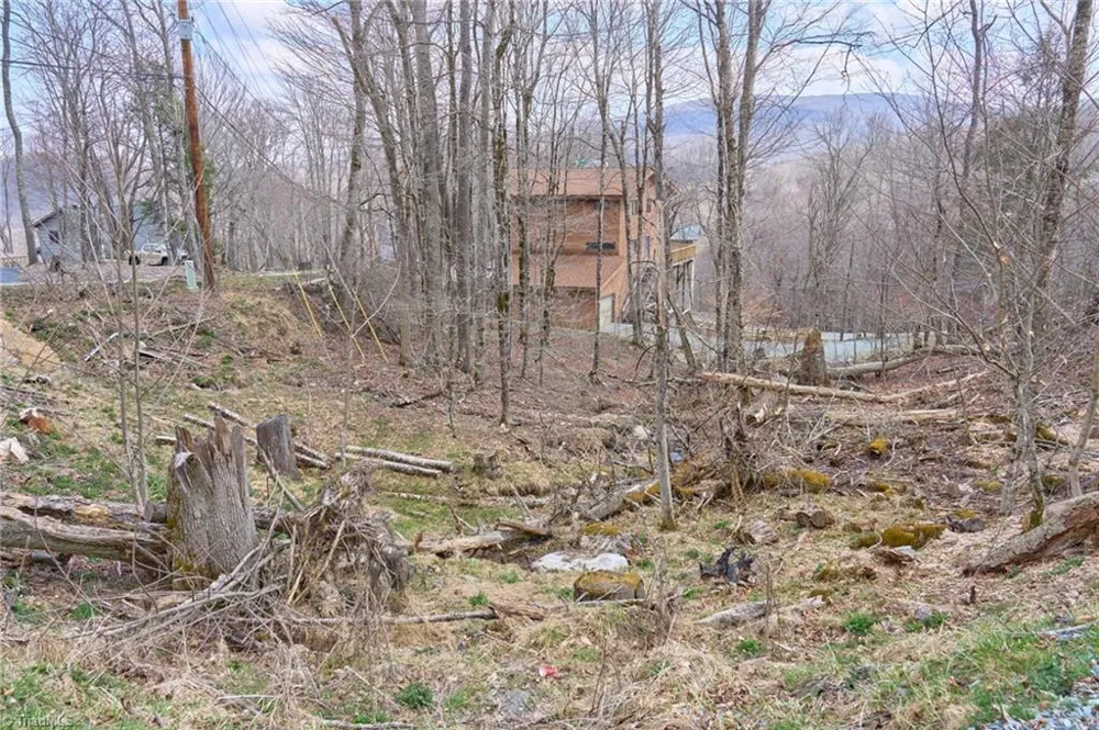 101 Foxgrape Hollow Road Beech Mountain, NC 28604
