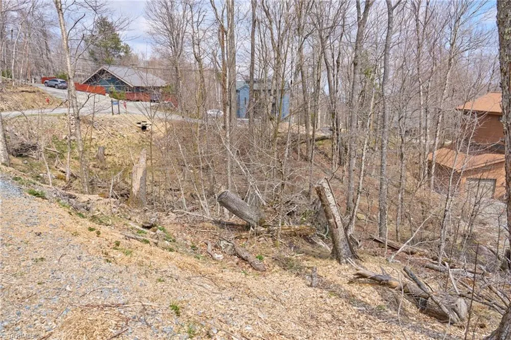 101 Foxgrape Hollow Road Beech Mountain, NC 28604