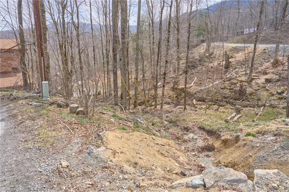 101 Foxgrape Hollow Road Beech Mountain, NC 28604