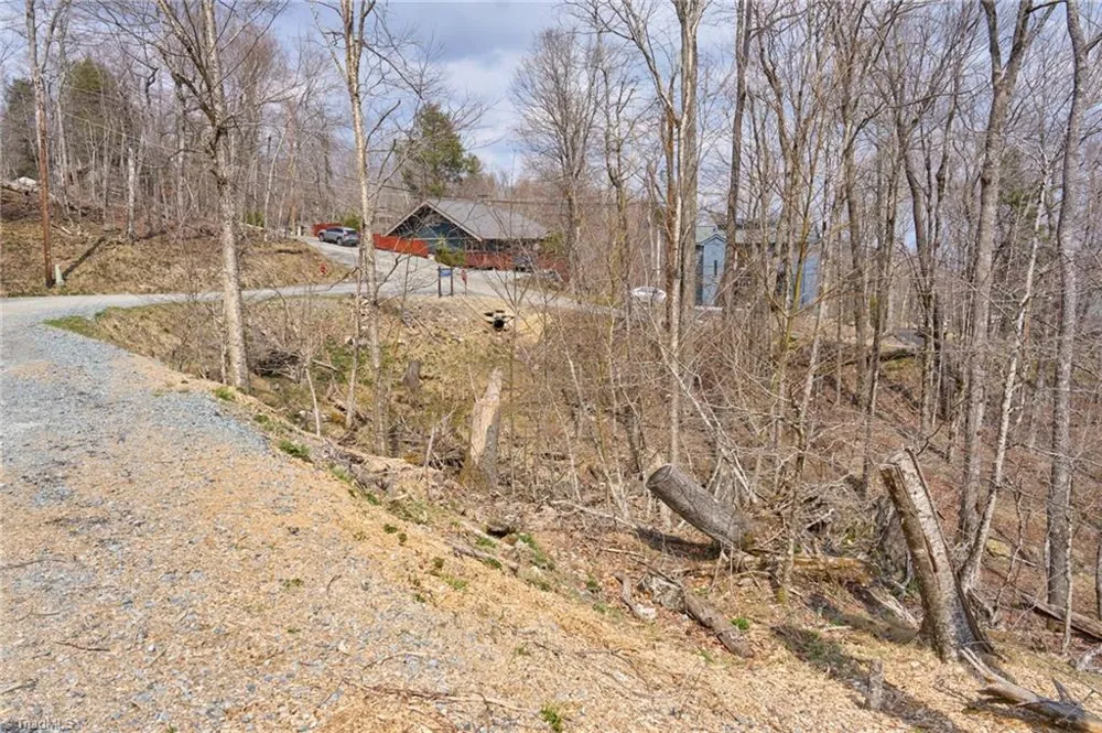 101 Foxgrape Hollow Road Beech Mountain, NC 28604