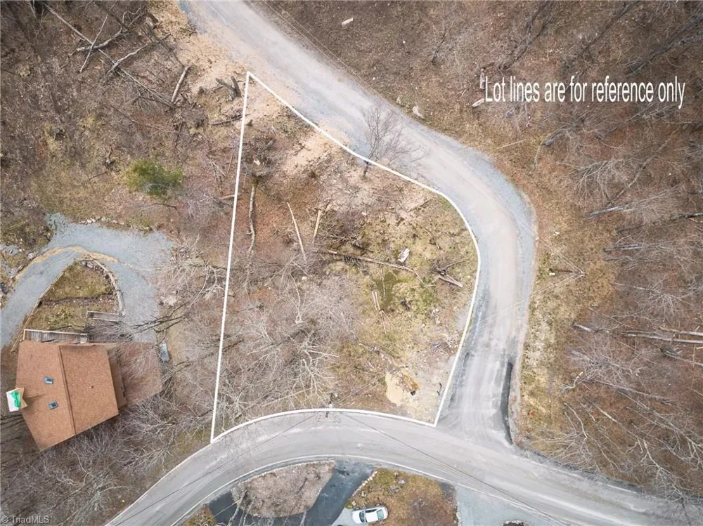101 Foxgrape Hollow Road Beech Mountain, NC 28604