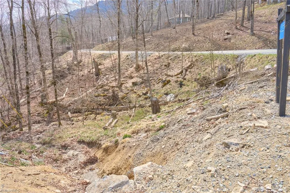 101 Foxgrape Hollow Road Beech Mountain, NC 28604
