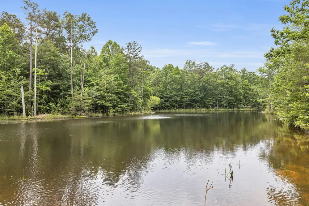 916 Rim Drive Coalmont, TN 37313