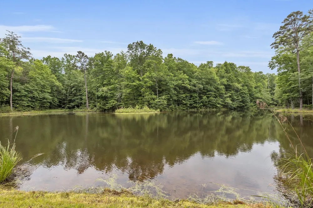 916 Rim Drive Coalmont, TN 37313