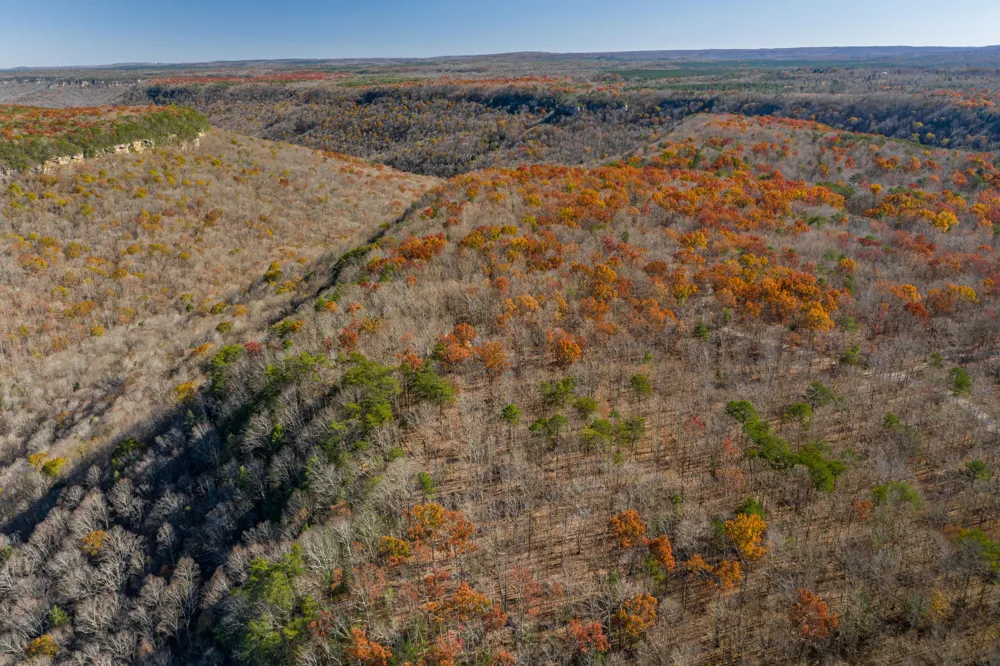 916 Rim Drive Coalmont, TN 37313