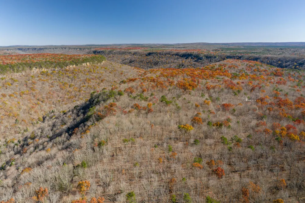 916 Rim Drive Coalmont, TN 37313