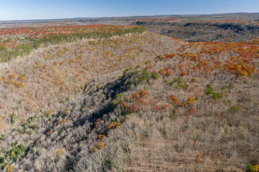916 Rim Drive Coalmont, TN 37313