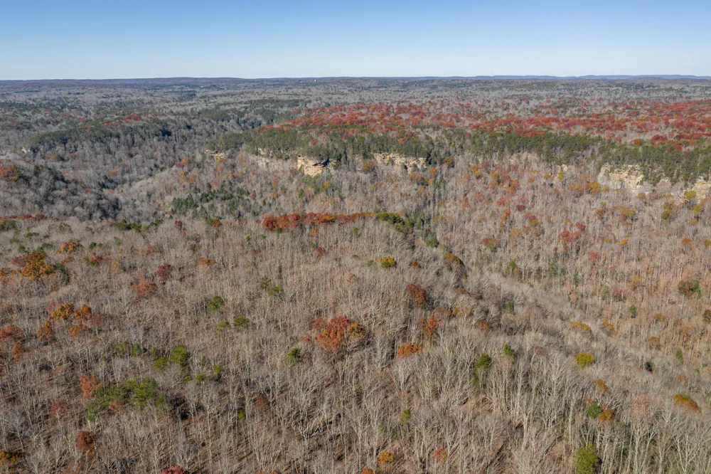 916 Rim Drive Coalmont, TN 37313